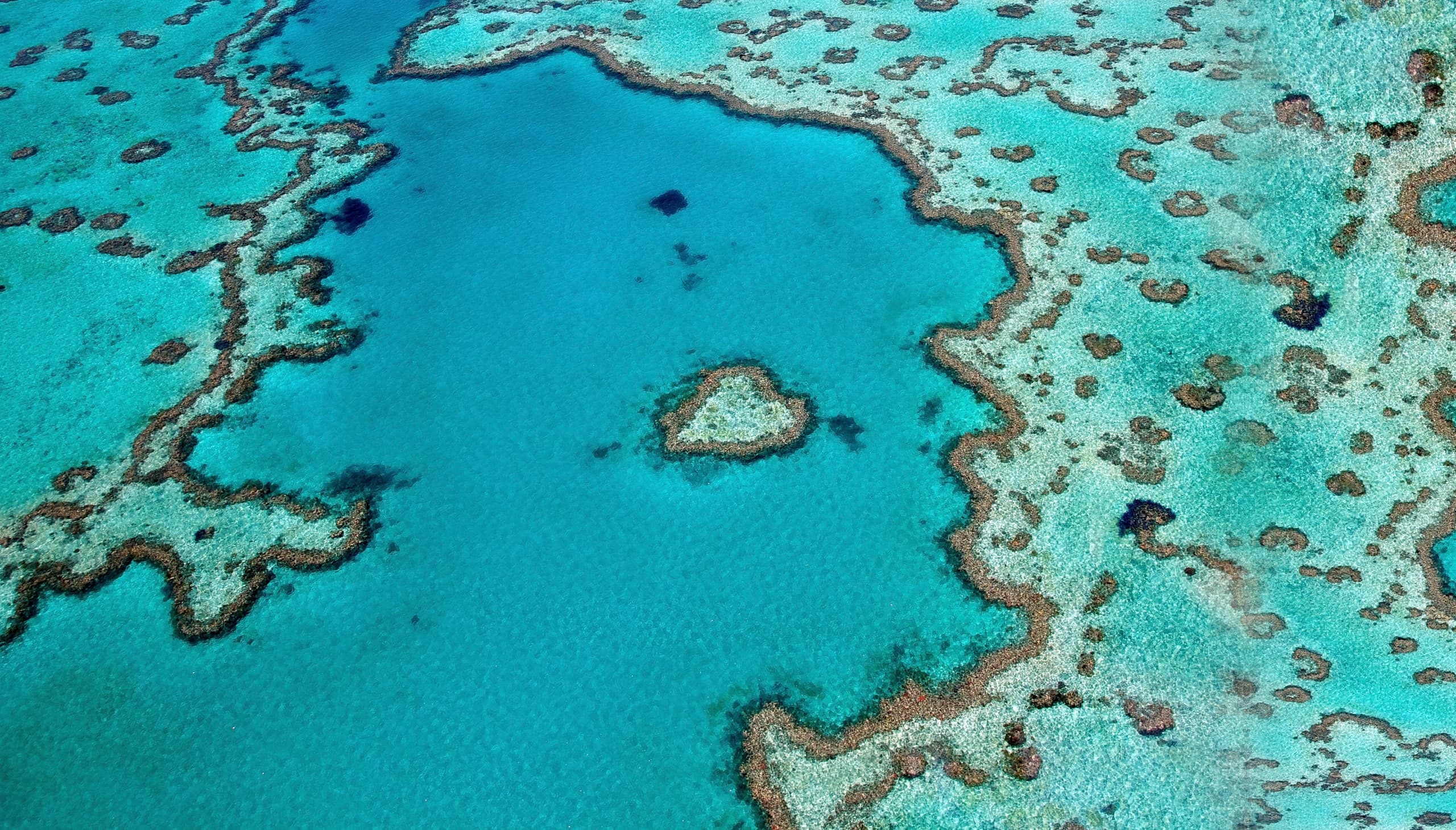 Aerial view of a coral reef