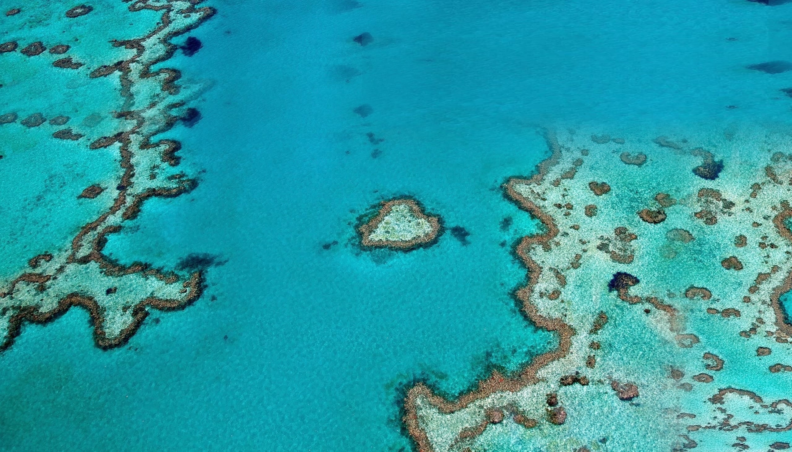 Aerial view of a coral reef