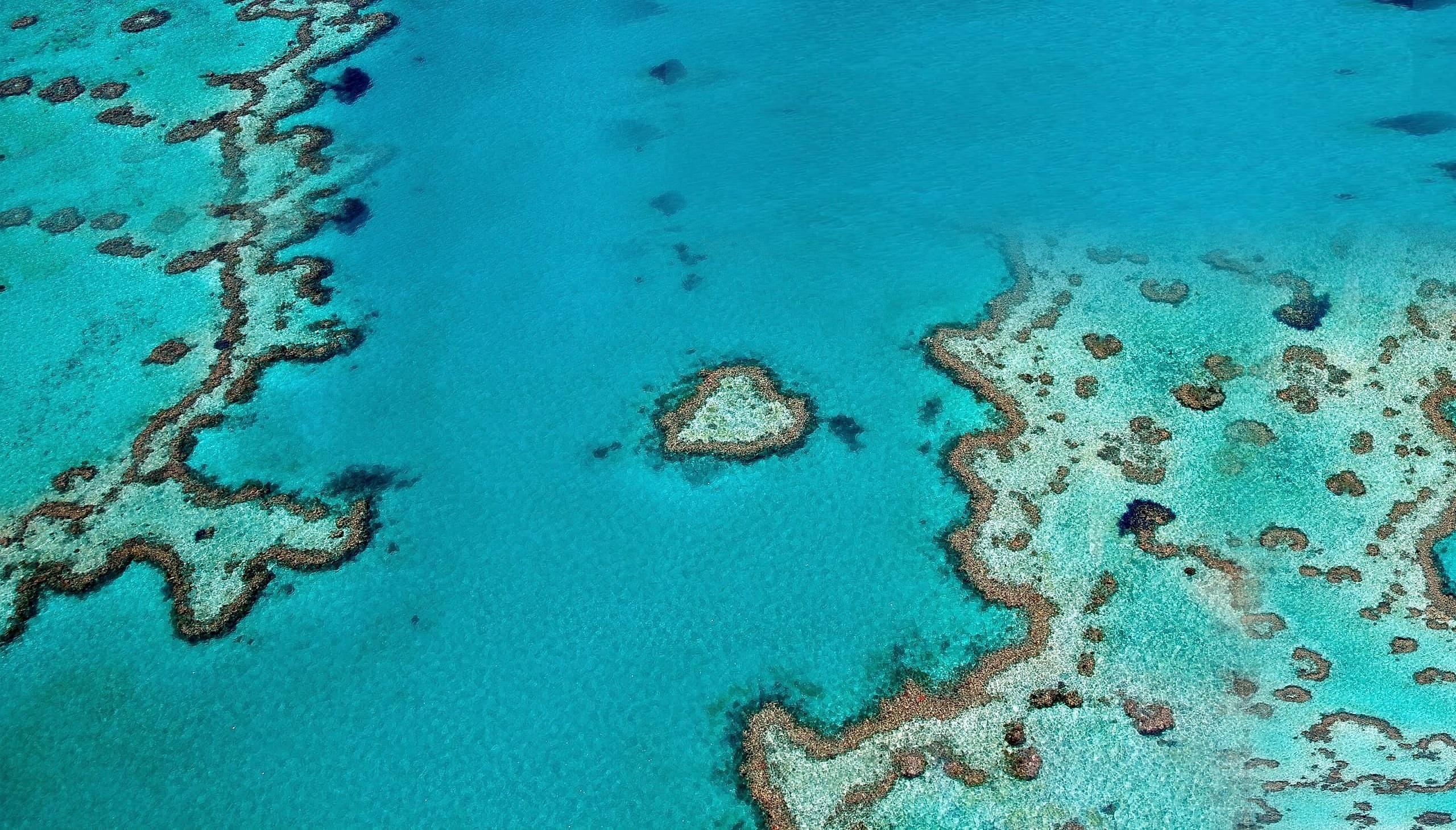 Aerial view of a coral reef